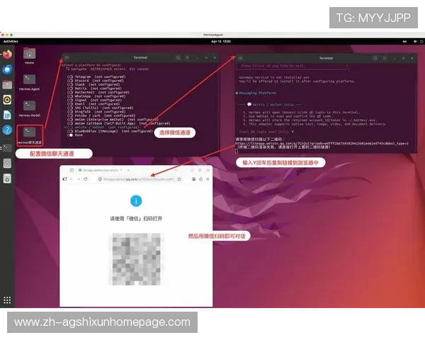 开云真人中国官方网站注册流程与新手指南，帮助新玩家快速上手享受高品质真人娱乐体验